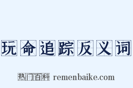 玩命追踪反义词是什么意思的图片